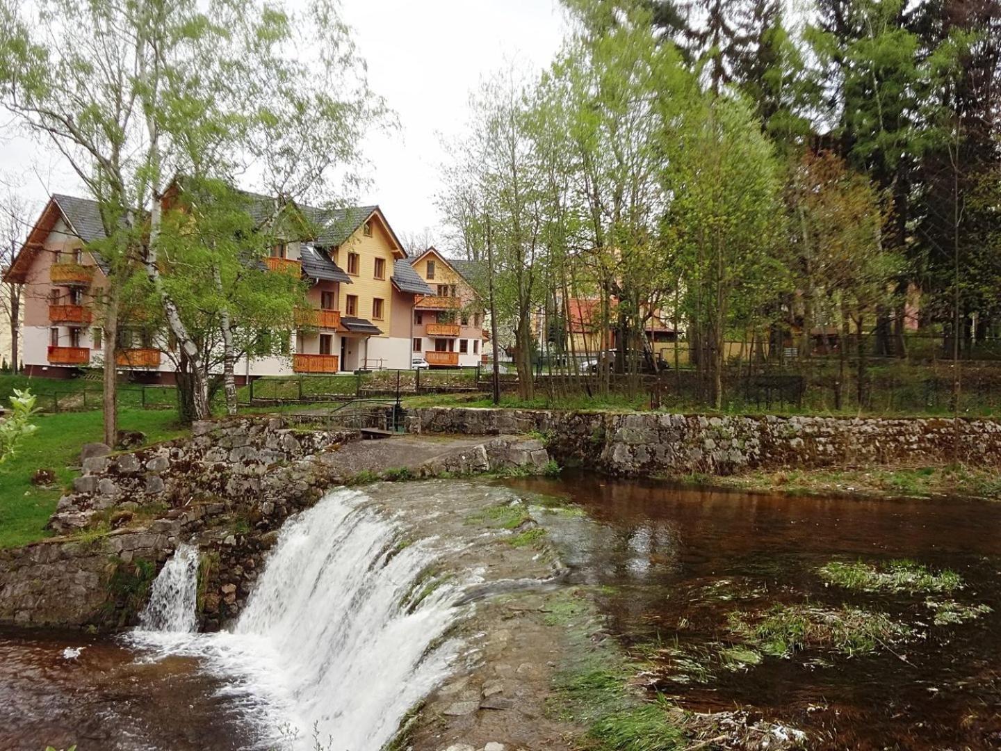 Apartment Sun&fun Parkowa Nadrzeczna 3d I 3e -blisko Centrum W Otoczeniu Zieleni *